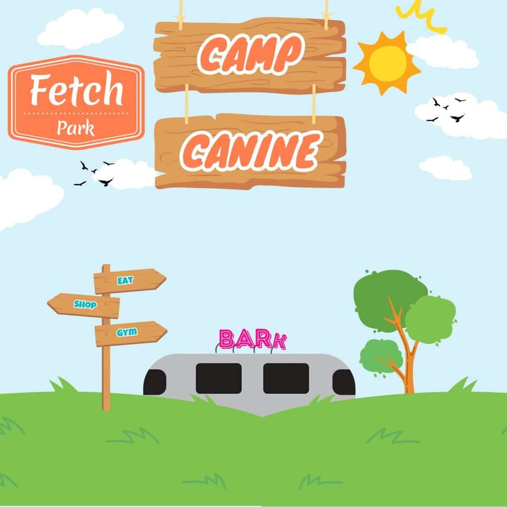 Camp Canine Fetch 4x4 1 3